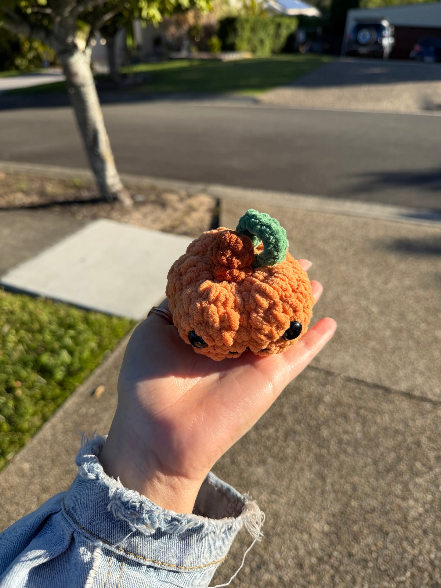 🎃 Pocket Pumpkin Plush 🧡