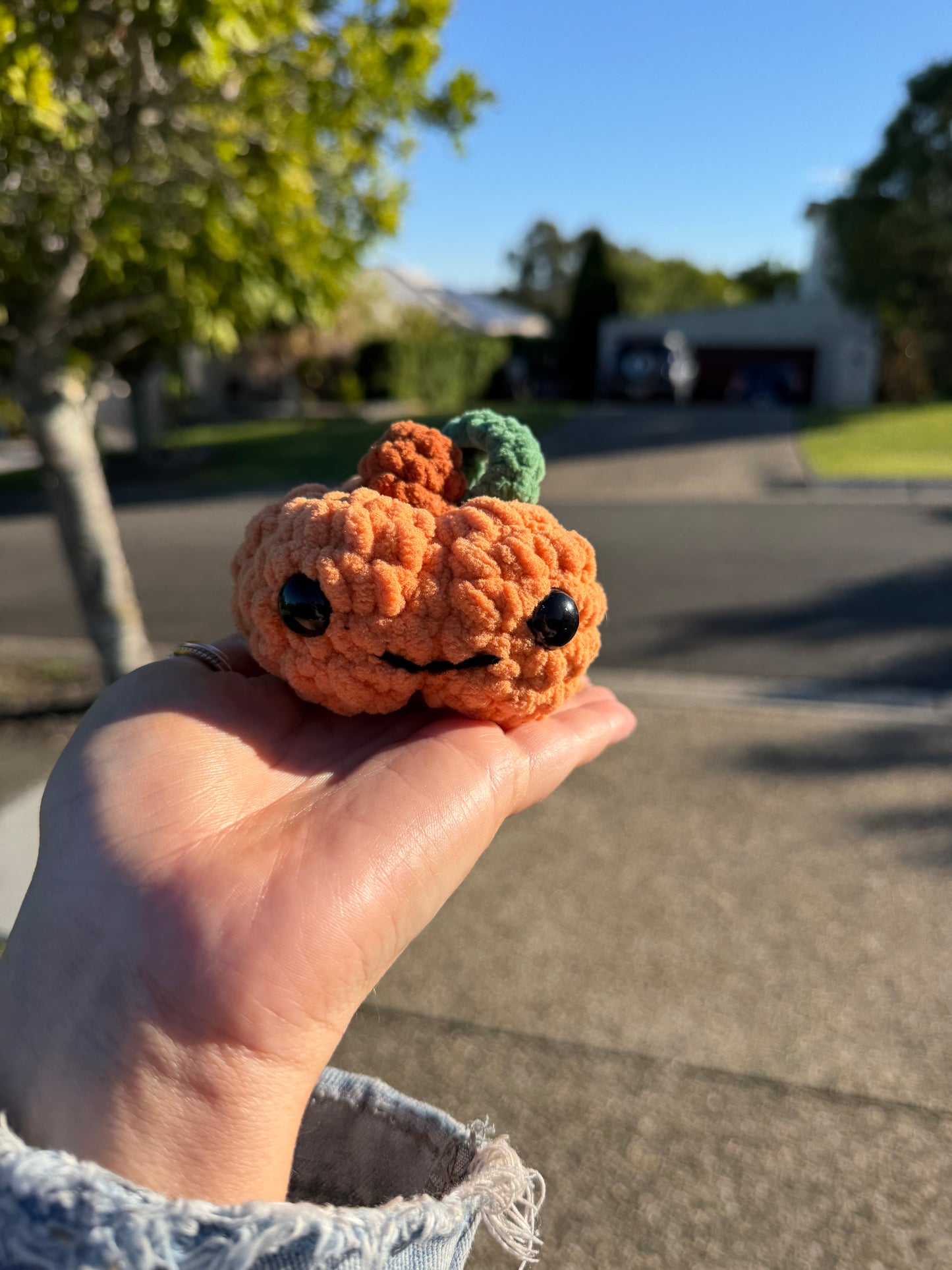 🎃 Pocket Pumpkin Plush 🧡