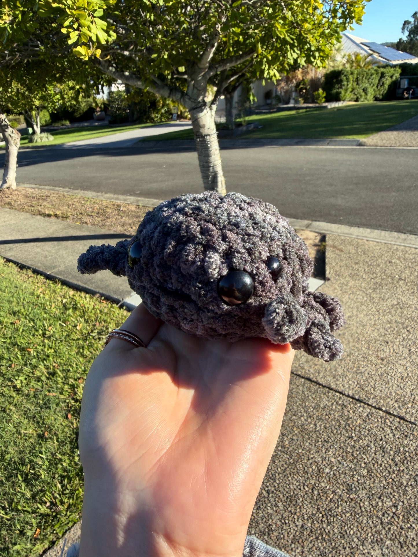 🕷️ Midnight Spider Crochet Plush 🖤