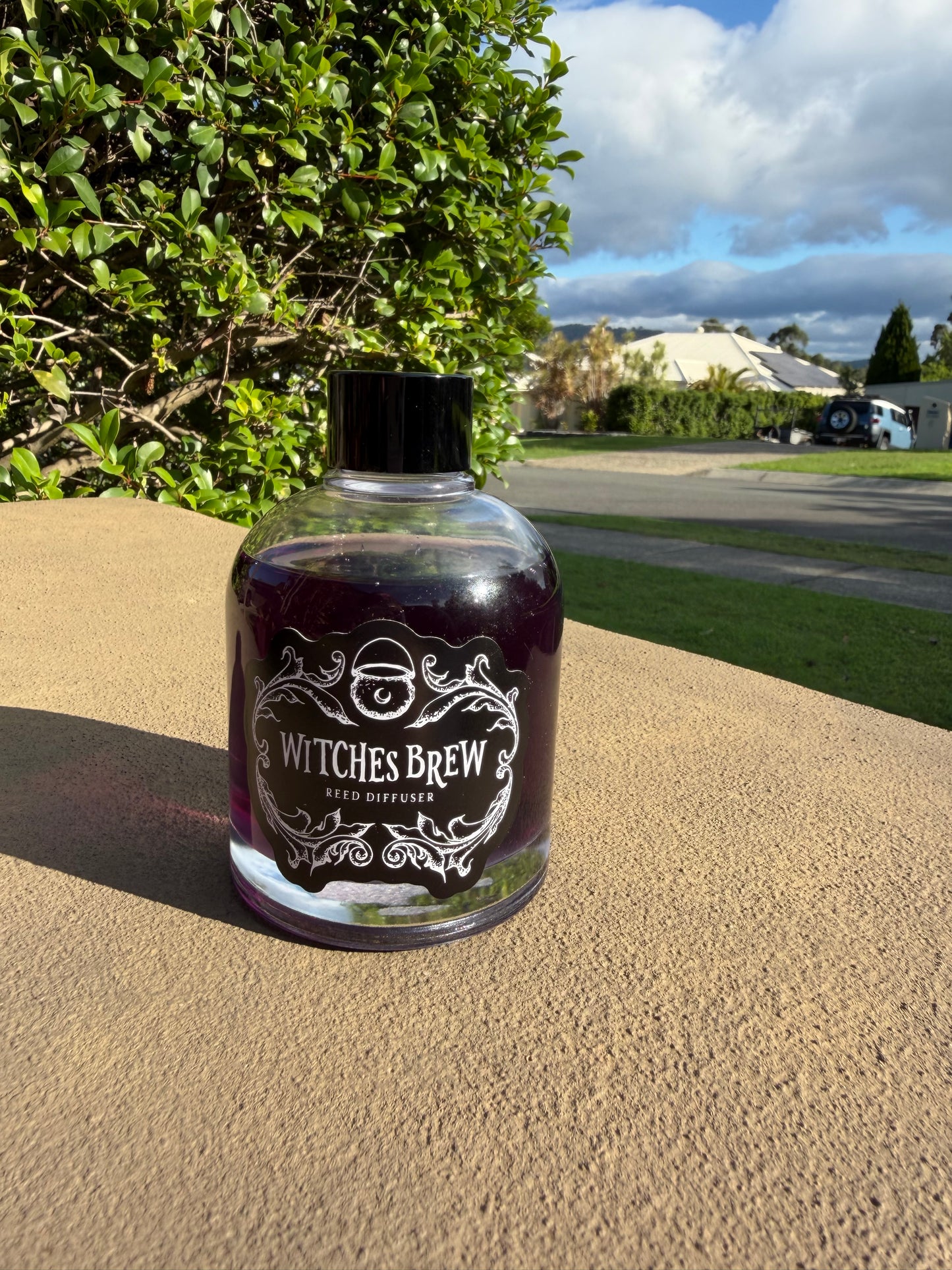 Witches Brew Reed Diffuser